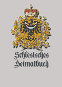 Buch bestellen