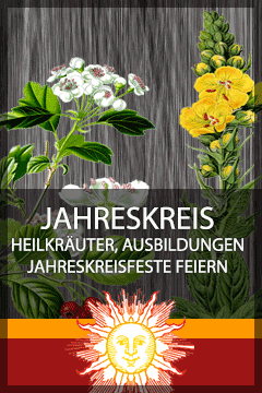 Jahreskreis Ausbildung Heilkräuter